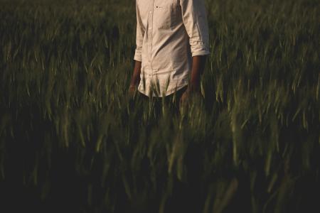Man Surrounded Grass