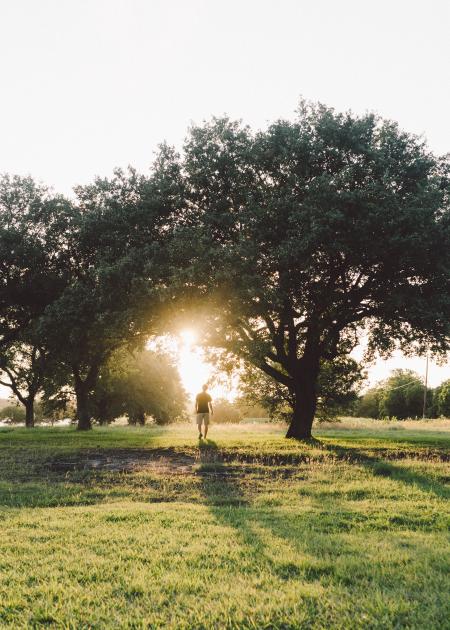 Man Walking during Sunrise