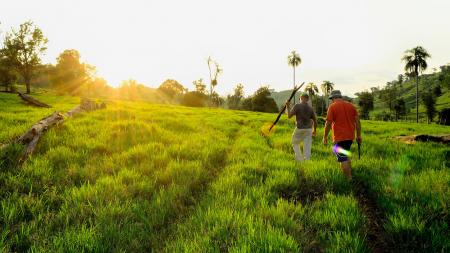 Man Walking Green Field at Daytime