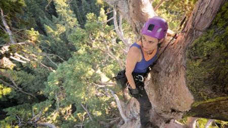 Man Wall Climbing Beside Trees