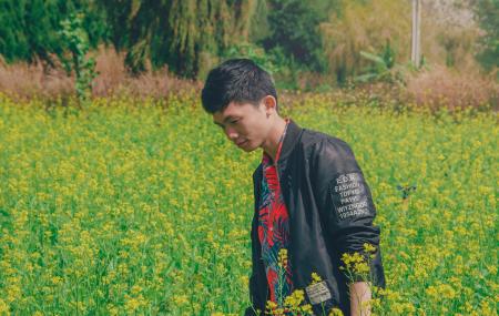 Man Wearing Black Jacket on Yellow Flowers