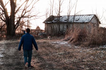 Man Wears Blue Jacket Near Leafless Tree