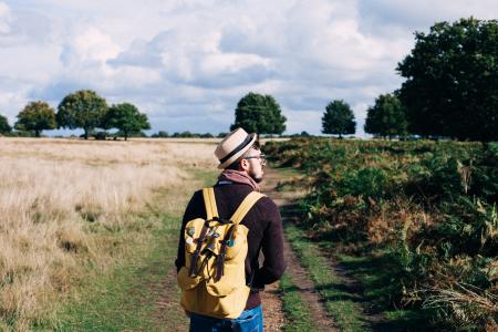 Man With Backpack Walking on Pathway Between Field at Daytime