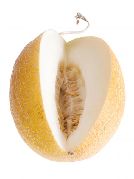 Melon