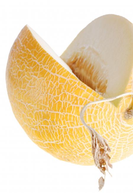 melon