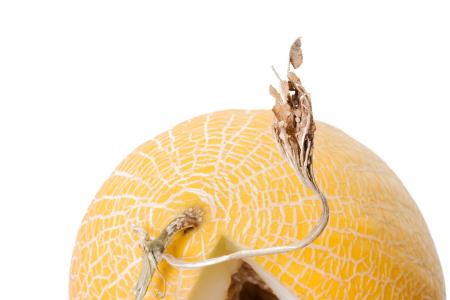 melon