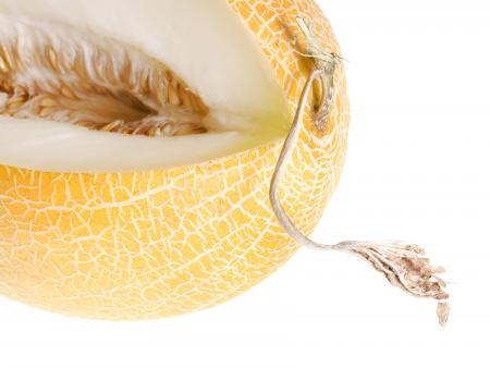 melon