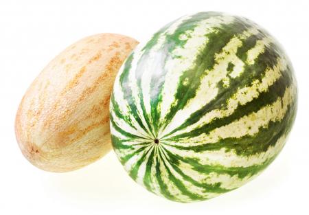 melon and watermelon
