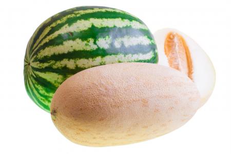 Melon and watermelon
