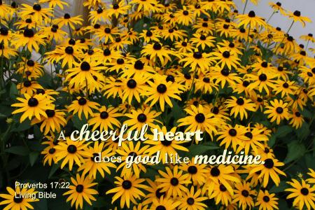 Merry Heart Like Medicine