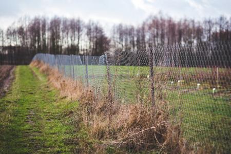 Mesh fence on the nature