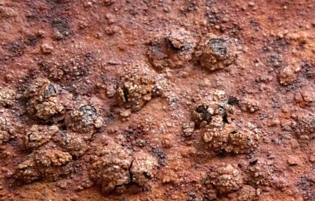 Metal corrosion texture