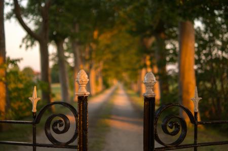 Metallic Fence