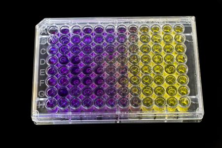 Microbiology mutagen test