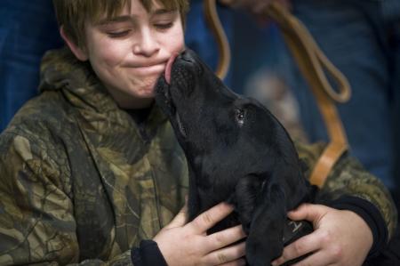 Military Dog