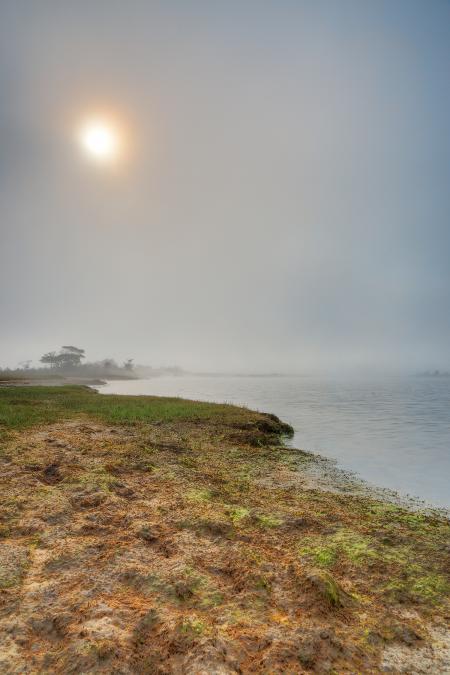 Misty Sun Kissed Marsh - HDR