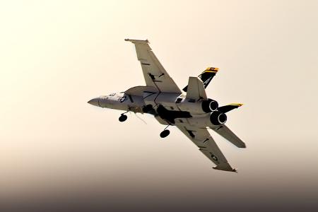 Model Jet - EDF F 18 Hornet