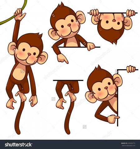 Monkey ilustration