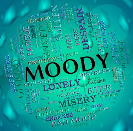 Moody Word Means Wordcloud Moping And Flighty