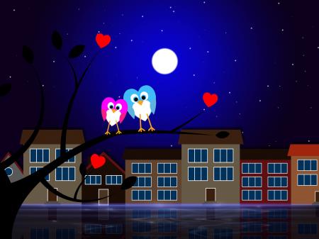 Moon Owls Represents Night Time And Apartment