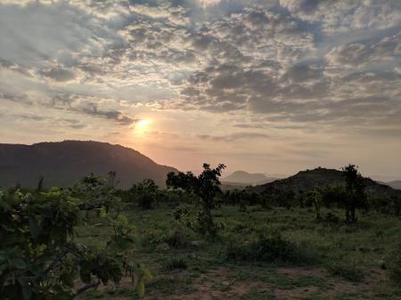 Morning at Berg-en-dal