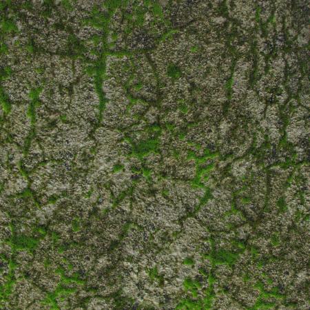 Struggling Moss Texture