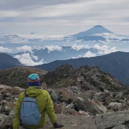 Mount Fuji