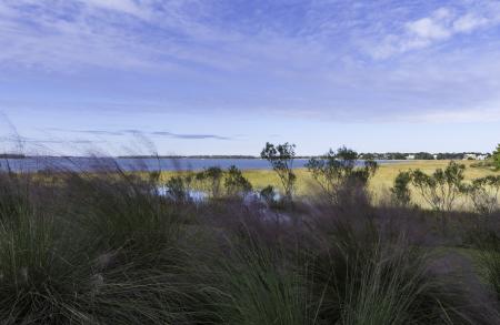 Mount Pleasant Marsh