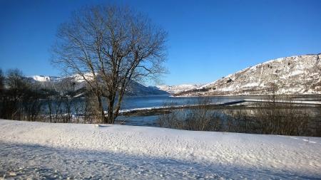 Mountain Across Body of Water Under Clear Blue Sky