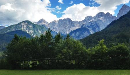 Mountain and Forest