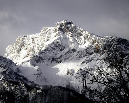 Mountain Cliff Covered With Snow Near Trees Landscape Photo