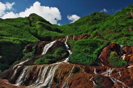 Mountain Covered With Trees