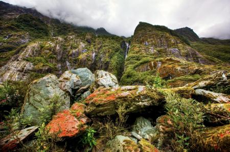 Mountain Filled With Green Leaf Tress and Plant Under Cloudy Sky