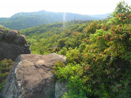 Mountain Landscape