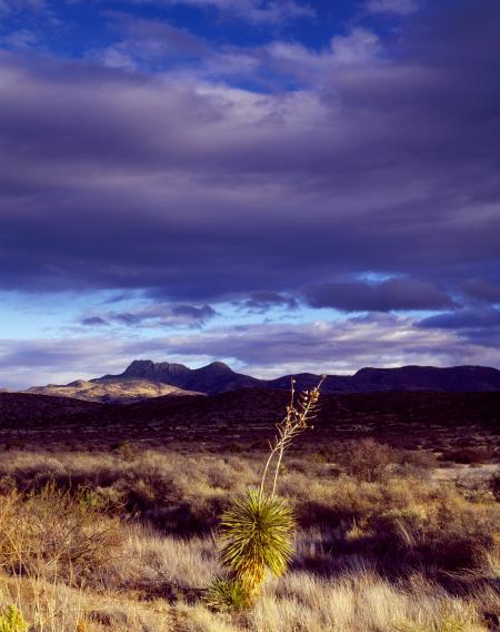 Mountain Range