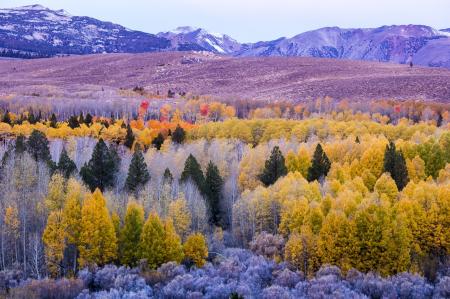 Mountain Range