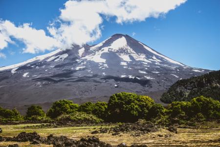 Mountain Surrounded by Trees