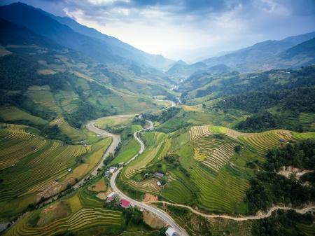 Mountainous Rice Plantation