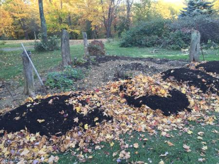 Mulch over dried