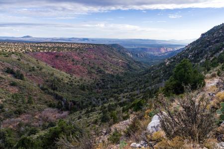 Munds Mountain Trail