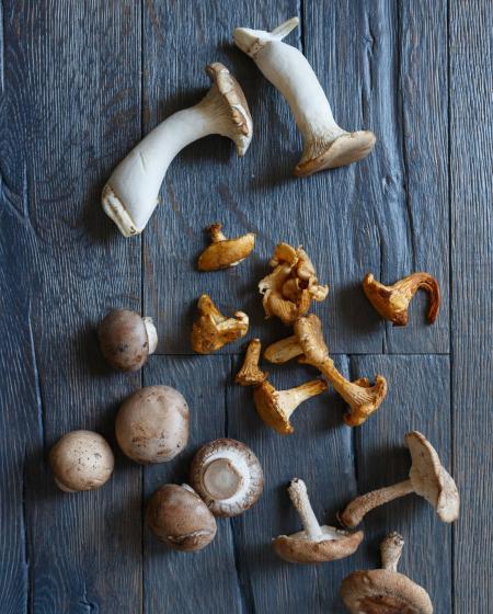 Wild Mushrooms