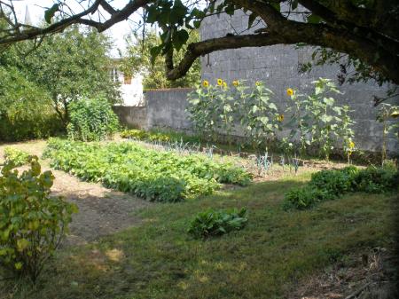 My grandma's vegetable garden