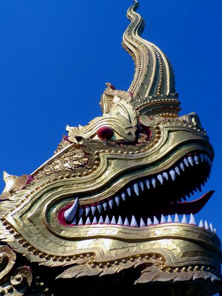 Naga head