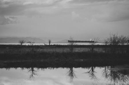 Nanaimo River Estuary