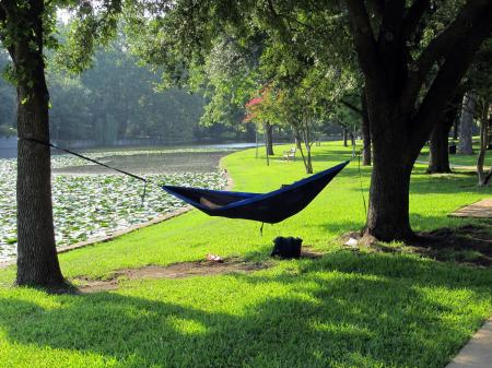 Napping Near The Water