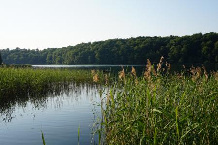 Nature Lake Brandenburg