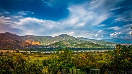 Nature Photography of Mountains and Trees Under Cloudy Sky during Daytime