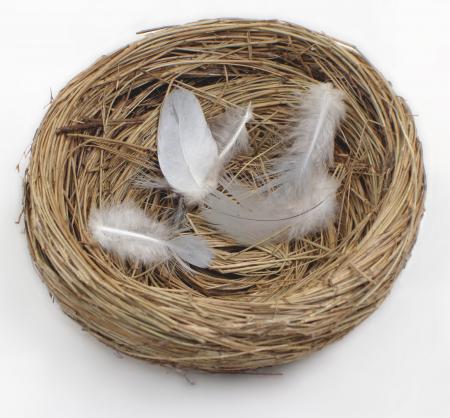 Nest