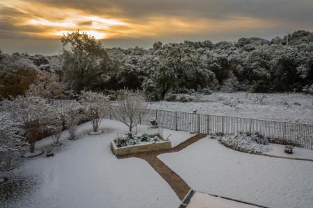 Next morning, looking out back.