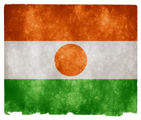 Niger Grunge Flag